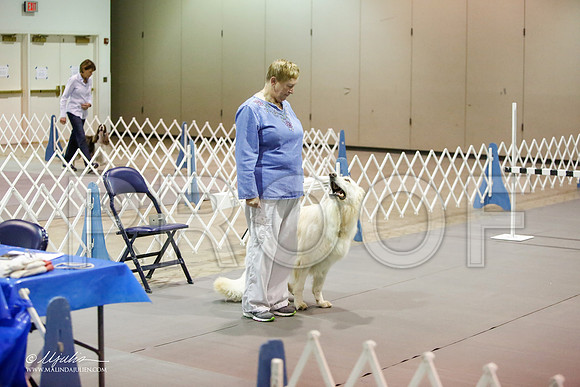 _JJ_8256-MesqApr2015-HR3