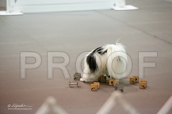 _JJ_9261-MesqApr2015-HR3