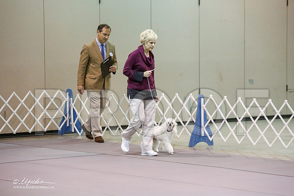 _JJ_3344-MesqApr2015-HR3