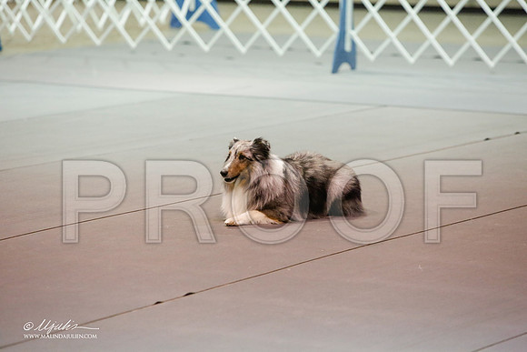 _JJ_7146-MesqApr2015-HR3