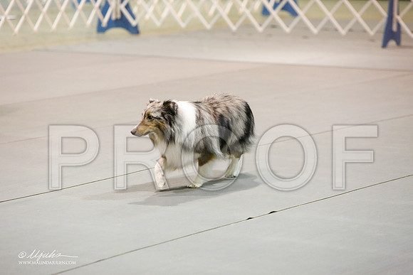 _JJ_7149-MesqApr2015-HR3