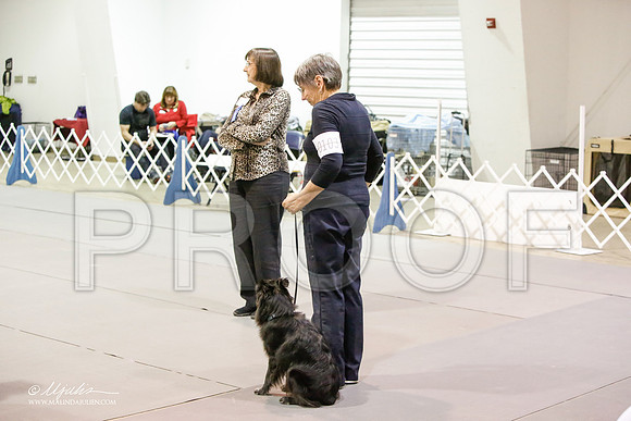 _JJ_8042-MesqApr2015-HR3