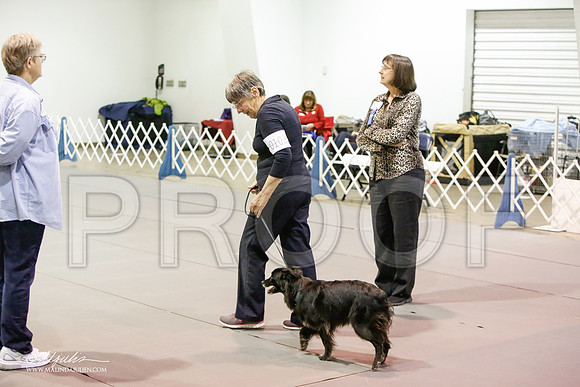_JJ_8043-MesqApr2015-HR3