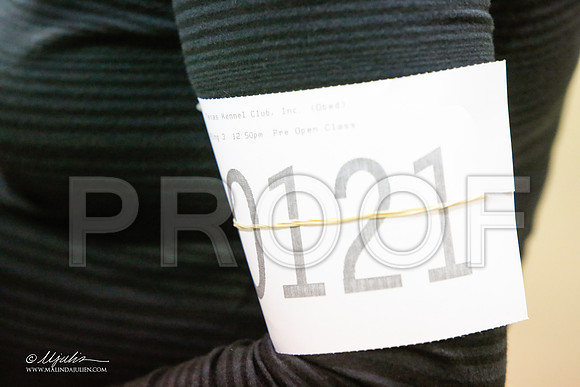 _JJ_7330-MesqApr2015-HR3