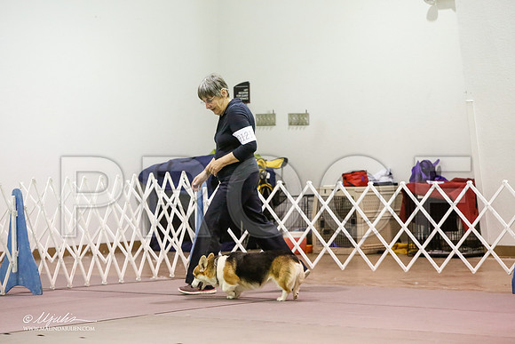 _JJ_7333-MesqApr2015-HR3