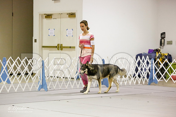 _JJ_6632-MesqApr2015-HR3