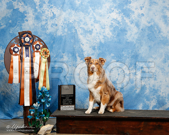 _ST_5129-2-ASCAnov2014-HR3