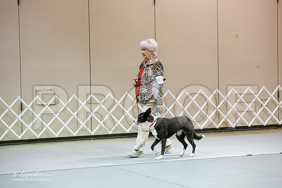 _JJ_2742-MesqApr2015-HR3