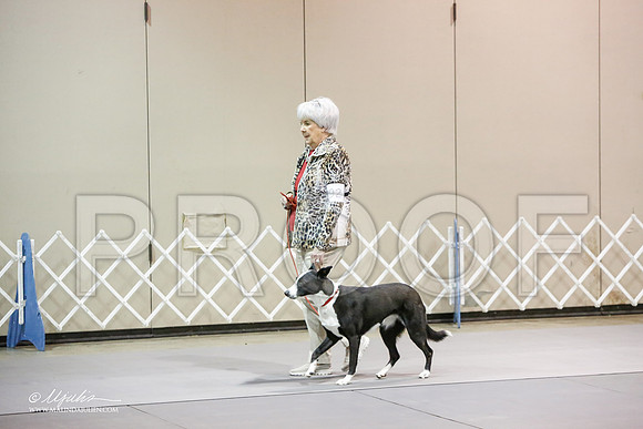 _JJ_2743-MesqApr2015-HR3