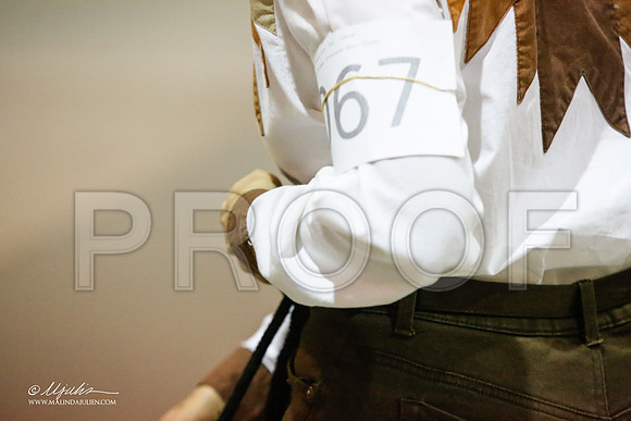 _JJ_6993-MesqApr2015-HR3
