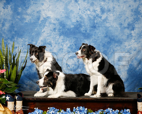 _ST_9623-2-MesqApr2015-HR3
