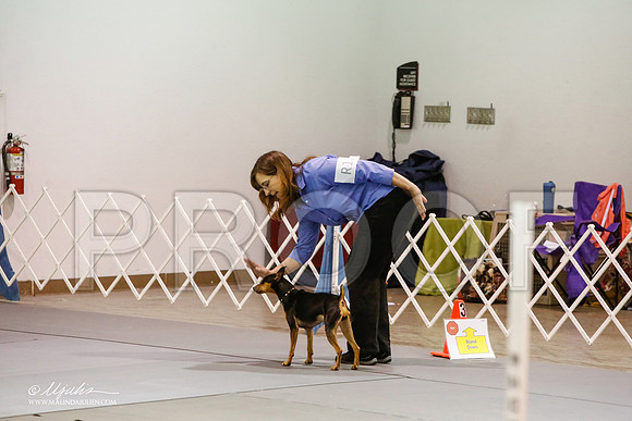 _JJ_4210-MesqApr2015-HR3