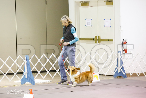 _JJ_6116-MesqApr2015-HR3