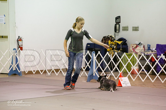 _JJ_6151-MesqApr2015-HR3