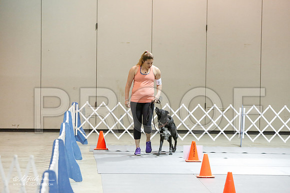 _JJ_5642-MesqApr2015-HR3