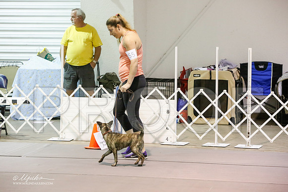 _JJ_5977-MesqApr2015-HR3