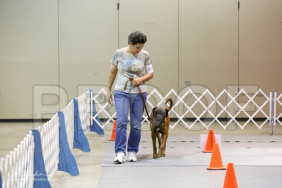 _JJ_6275-MesqApr2015-HR3