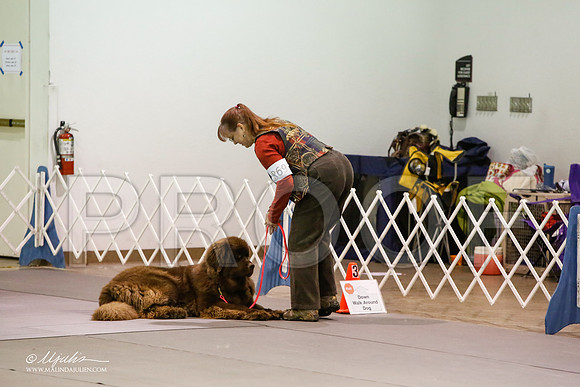 _JJ_5852-MesqApr2015-HR3