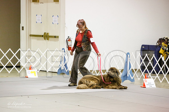 _JJ_5853-MesqApr2015-HR3