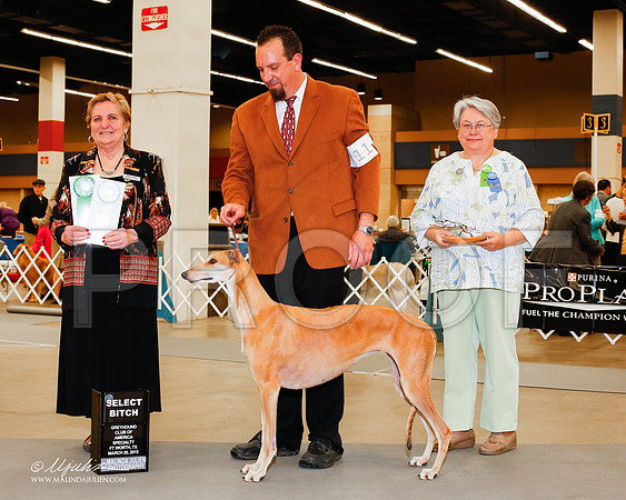 _M3_2061-AddisonHuskyMar2015-HR3