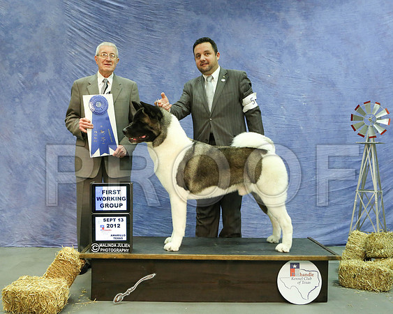 Akita-5405 HR