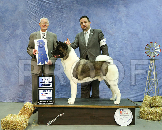 Akita-5403 HR