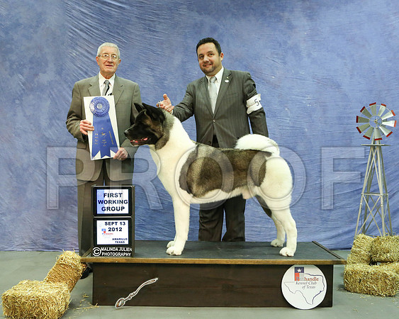Akita-5406 HR