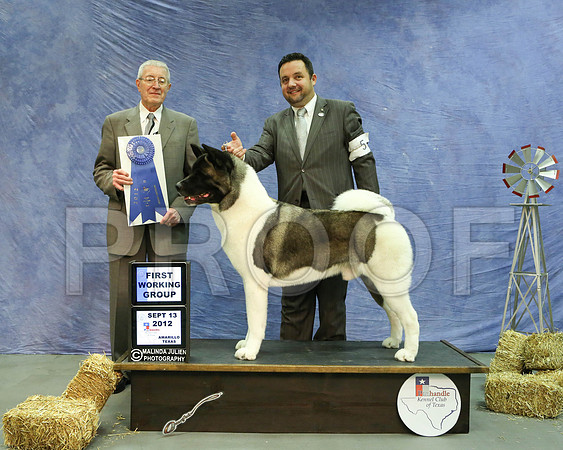 Akita-5411 HR