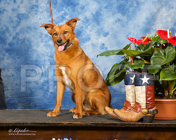 _ST_9795-MesqApr2015-HR3