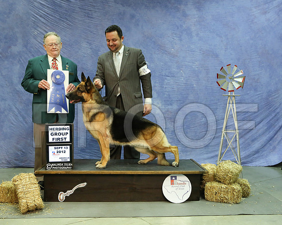 GSD-5679 HR