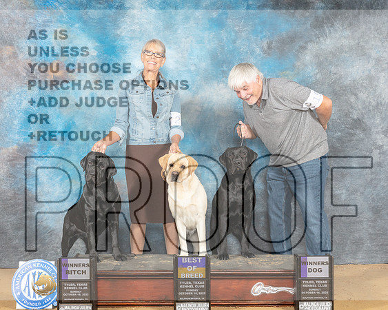 Labrador Retrievers #20 18 15 Sun BOB WB WD Judge Karin Ashe-_MJ_0212_TTKC2022-HR3