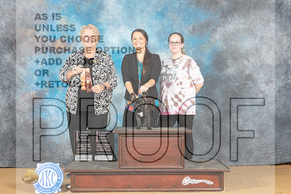 French Bulldog #15 Sun PBOBPG2 Judge Karen Ashe-_MJ_0314e_TTKC2022-HR3