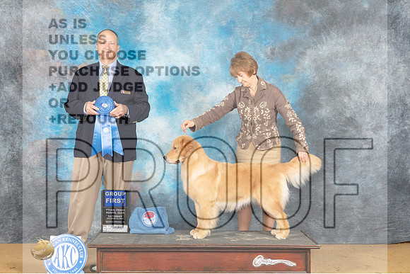 Golden Retriever #16 Sat G1 Judge Jay Richardson-_MJ_0168e_TTKC2022-HR3