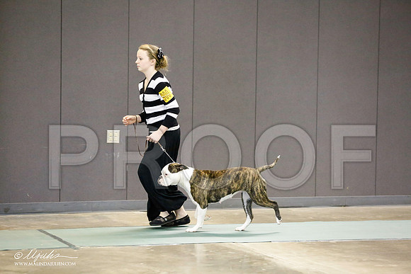 _RH_8732-BeltonJan2015-HR3