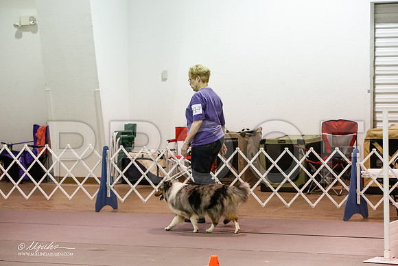 _JJ_8274-MesqApr2015-HR3