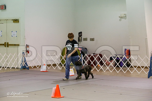 _JJ_8314-MesqApr2015-HR3