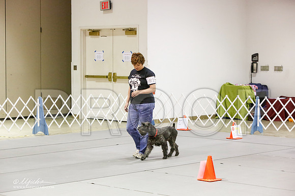 _JJ_8315-MesqApr2015-HR3