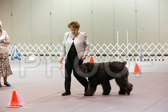 _JJ_9334-MesqApr2015-HR3