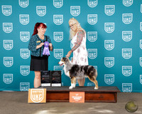 Brenda Hector UKC Western Classic