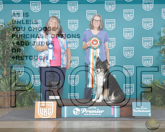 Border Collie #235 Thurs Novice Judge Karen ShiversBorder Collie #235 Thurs Novice Judge Karen Shivers_WP_6524e-UKC Premier 2025-HR3