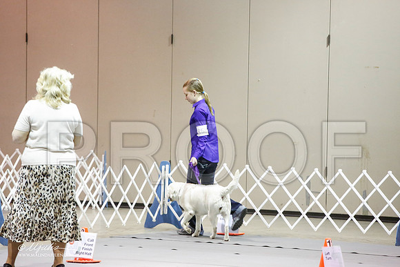 _JJ_9916-MesqApr2015-HR3