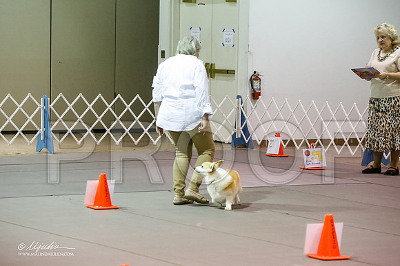 _JJ_8124-MesqApr2015-HR3