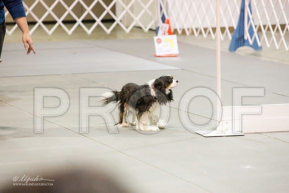 _JJ_9125-MesqApr2015-HR3