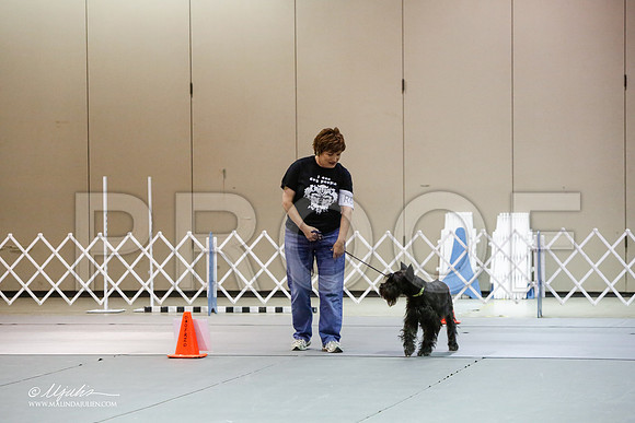 _JJ_9461-MesqApr2015-HR3