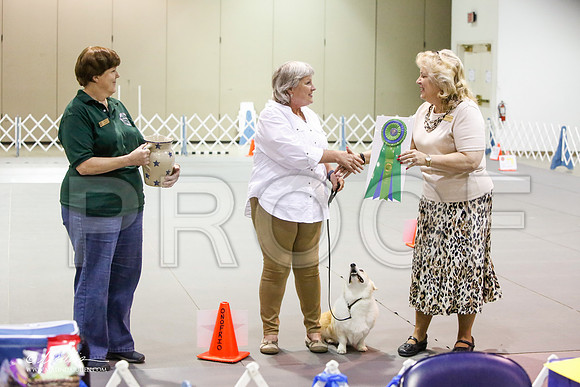 _JJ_9057-MesqApr2015-HR3