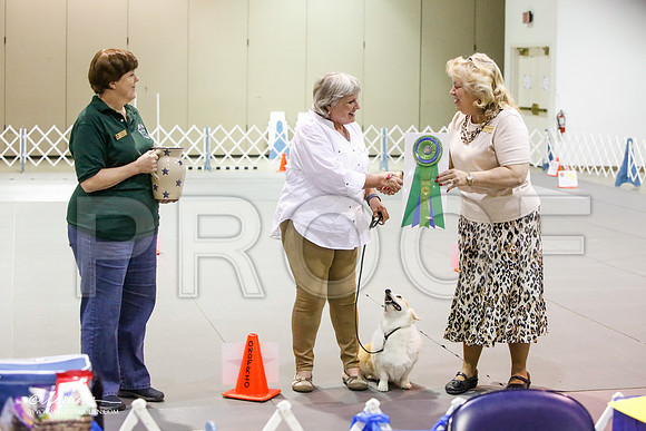 _JJ_9059-MesqApr2015-HR3