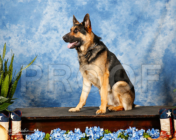 _ST_9768-2-MesqApr2015-HR3