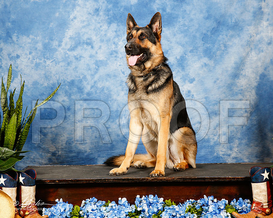 _ST_9771-2-MesqApr2015-HR3