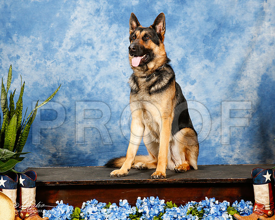 _ST_9772-2-MesqApr2015-HR3