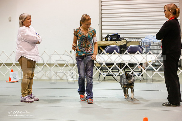 _JJ_0585-MesqApr2015-HR3